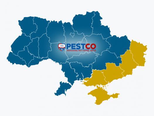 Услуги по борьбе с вредителями от Pestco теперь доступны по всей Украине
