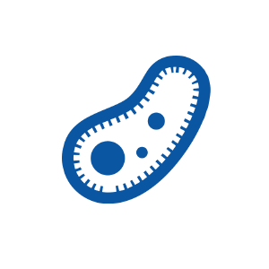 Дезінфекція