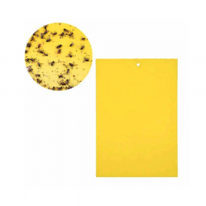 Липкий экран односторонний (420*230 мм)