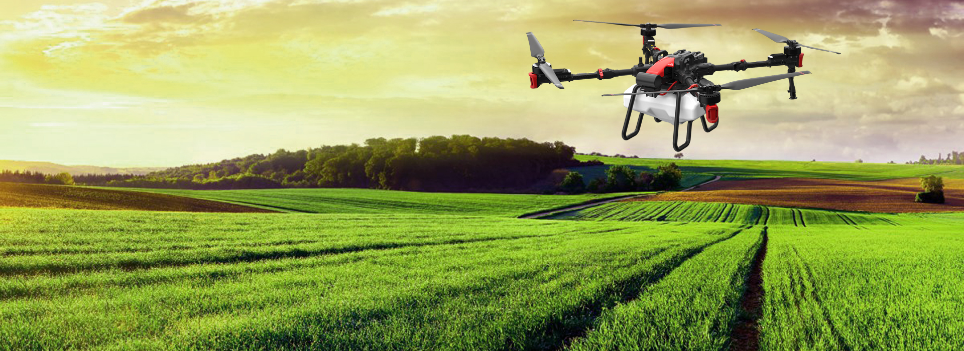 Agronomic field processing by drones