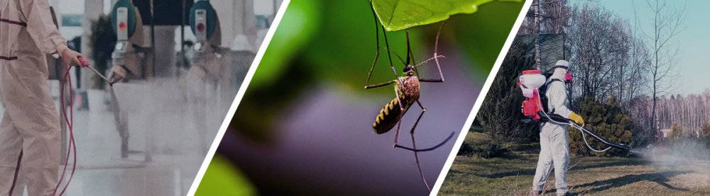 Методы борьбы с комарами в Одессе