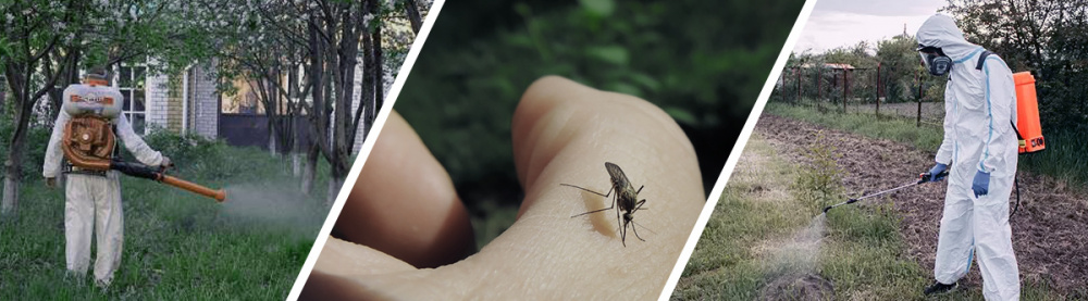 Методы уничтожения комаров в Киеве