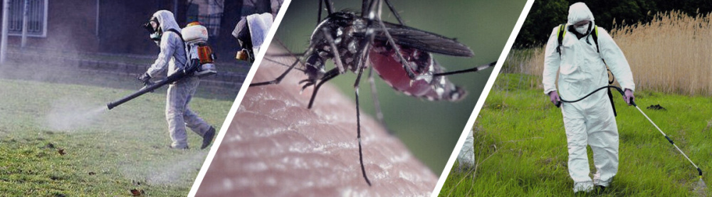 Уничтожение комаров в Киеве с Pestco