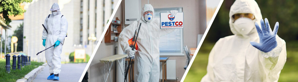 дезинсекция от Pestco в Днепре