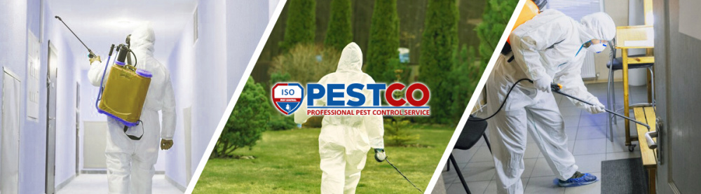 Преимущества дезинсекции Pestco в Черновцах