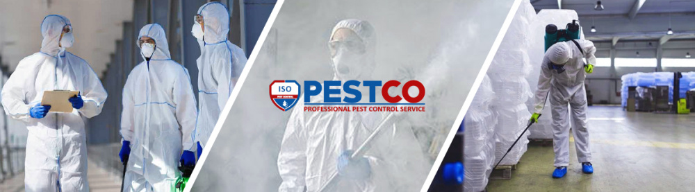 Pestco – уничтожение вредителей в Черновцах