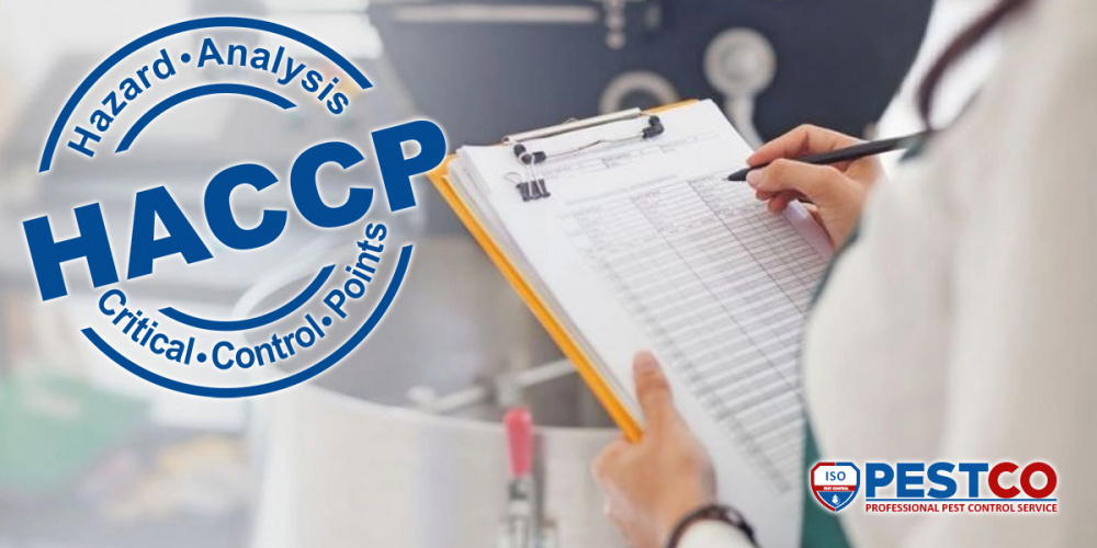 программа HACCP в Черновцах