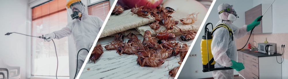 уничтожение тараканов в Одессе